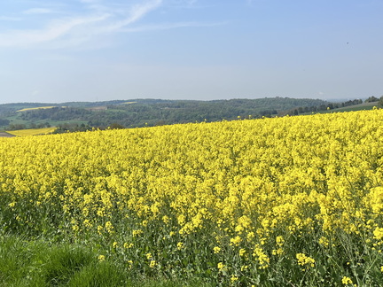 22-05-02 11-48-36 0710